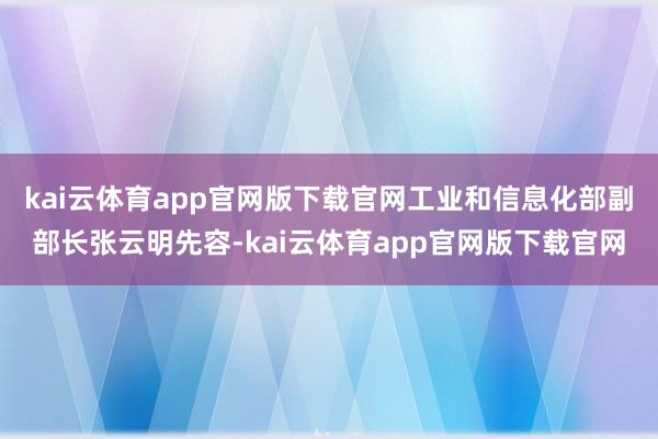 kai云体育app官网版下载官网工业和信息化部副部长张云明先容-kai云体育app官网版下载官网