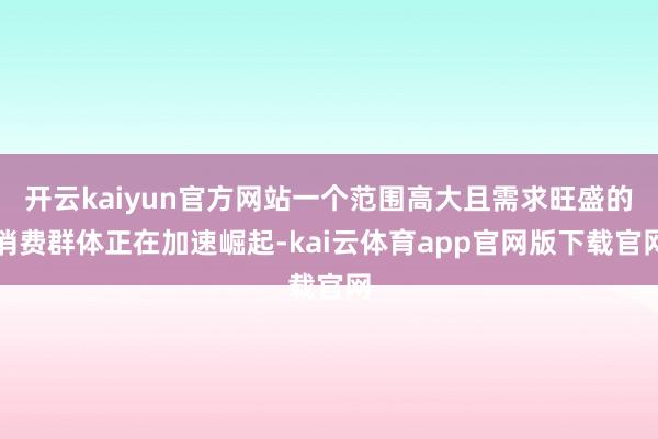 开云kaiyun官方网站一个范围高大且需求旺盛的消费群体正在加速崛起-kai云体育app官网版下载官网