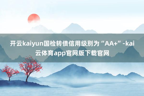 开云kaiyun国检转债信用级别为“AA+”-kai云体育app官网版下载官网
